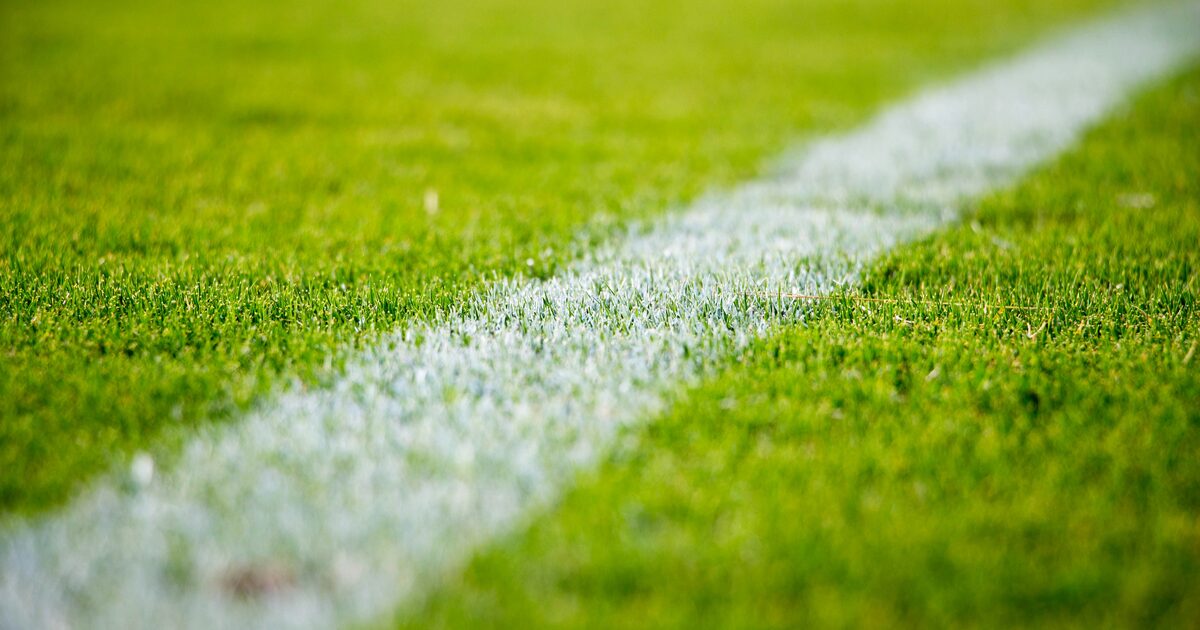 Close up of a white line on green grass on a soccer field